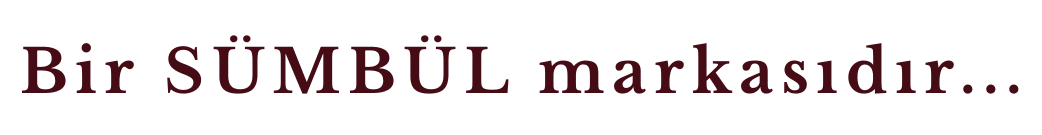 Sağ Logo